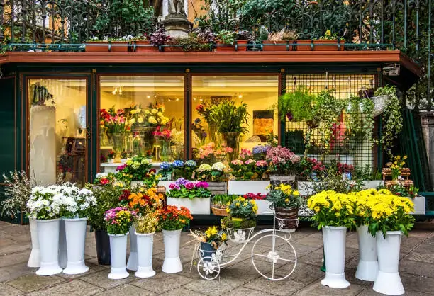 Colorful flower shop near me in Dubai with fresh flower arrangements displayed outside in white pots