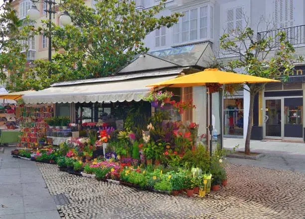 Colorful outdoor flower shop in Abu Dhabi with a wide variety of fresh flowers, potted plants, and shaded yellow umbrellas on a cobblestone street