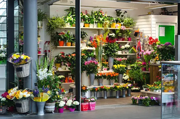 flower shop dubai