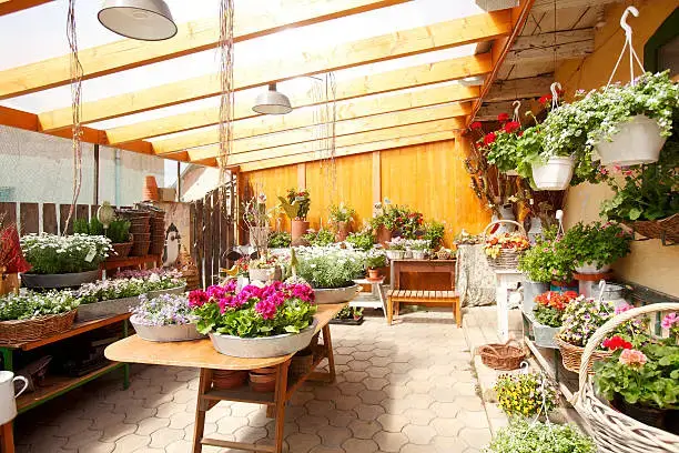 flower shop dubai
