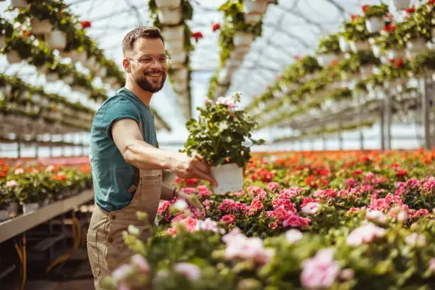 flosrist working in flower shop in ajman flowersmart.ae