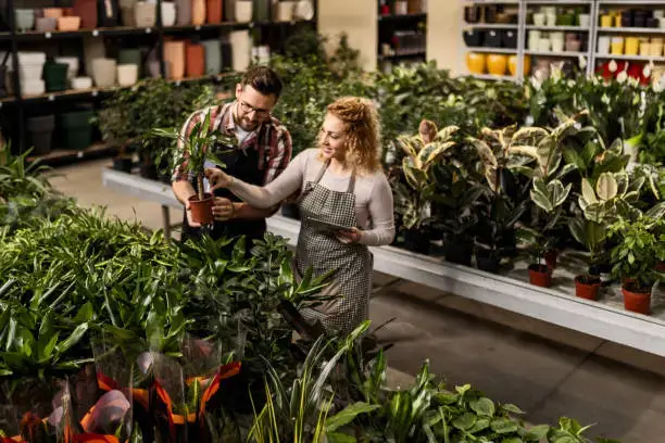 Best Perumal Flower Shop Dubai