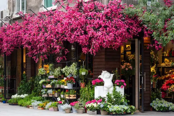 fresh flowers near me