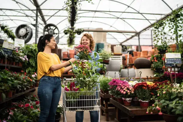 TWO LADIES ENJOYING Fresh Flowers Ajman Starting AED 100