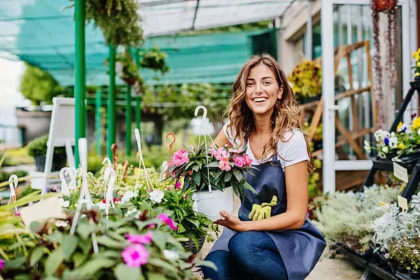 Perumal Flower Shop Abu Dhabi AED 100