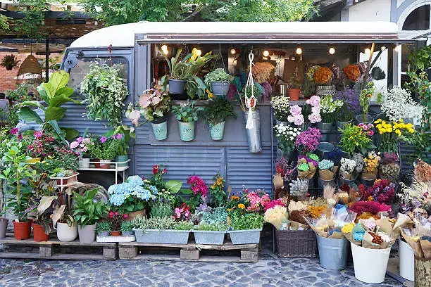 Best Flower Shop Jumeirah AED 100