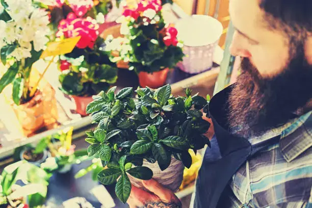 Professional Flower Shop Near Me AED 100 | flowersmart.ae