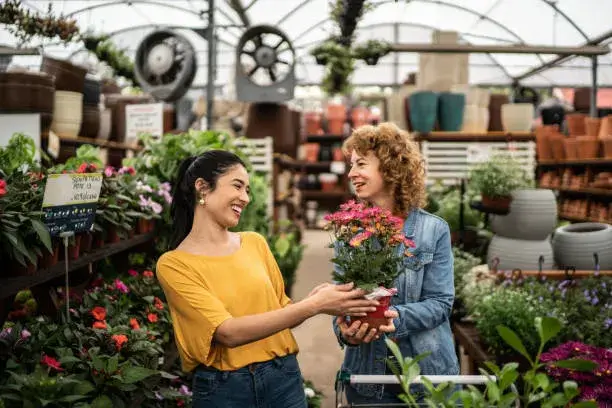 Friendship Day flowers bouquet starting at AED 100 – Flowersmart.ae