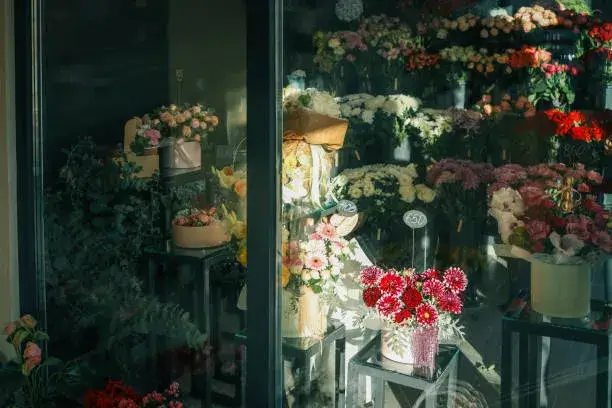 Flowers Ajman Maintenance Tips | Fresh Bouquets from AED 100 - flowersmart.ae