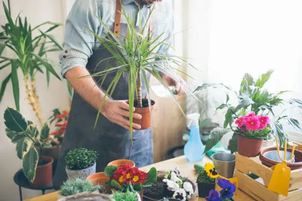 Flower care tips UAE – Keep your bouquets fresh and lasting longer from AED 100 at FlowerSmart