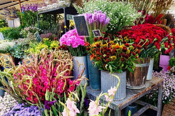 Flower market near me in Dubai & Abu Dhabi β fresh flowers from AED 100 at Flowersmart
