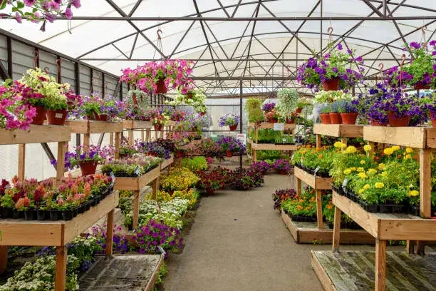 Flower shop Dubai – find the best florists near you with fresh flowers from AED 100 at Flowersmart