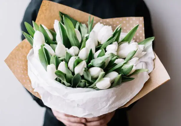 Tulip Bouquets β fresh spring flowers for love at AED 100 from Flowersmart.ae