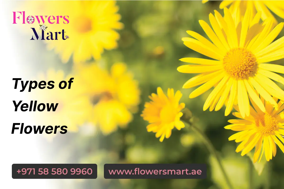 Different types of yellow flowers