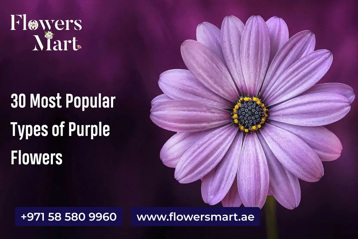Types of Purple Flowers